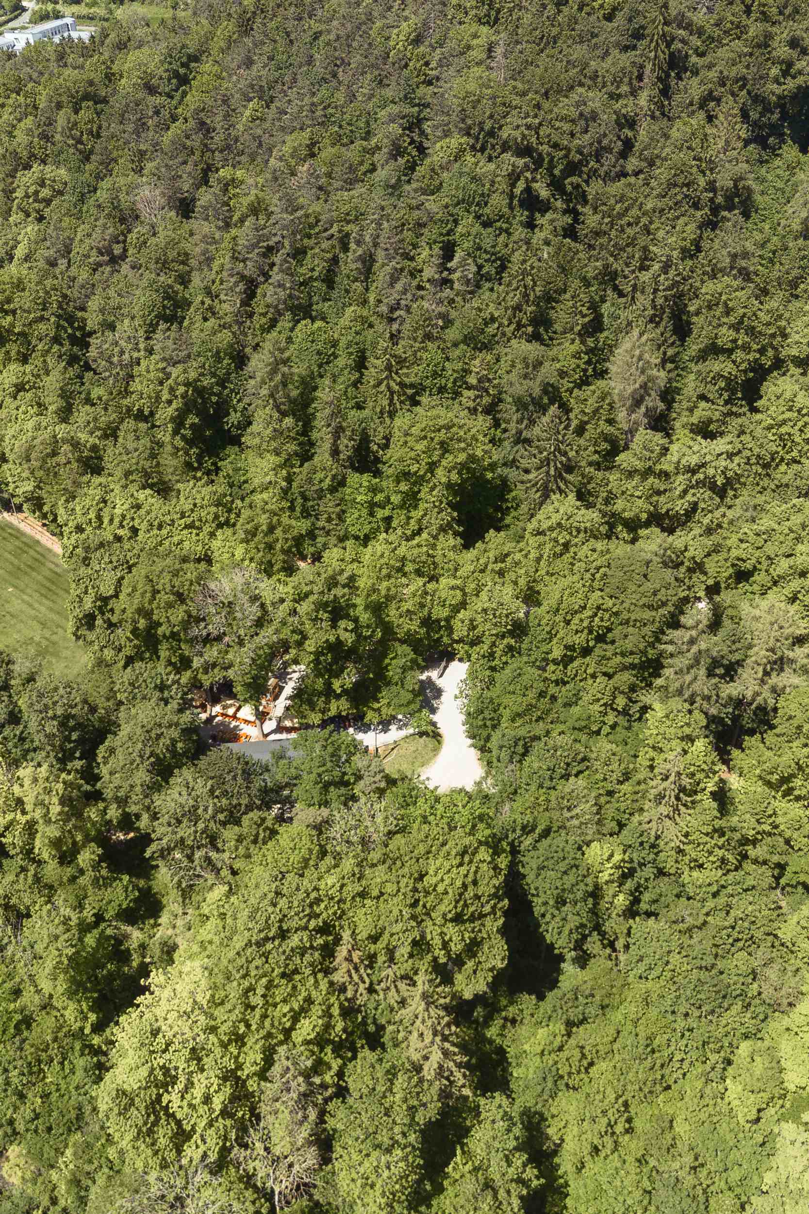 Luftaufnahme des Biergartens, eingebettet in den Wald am Schlossberg