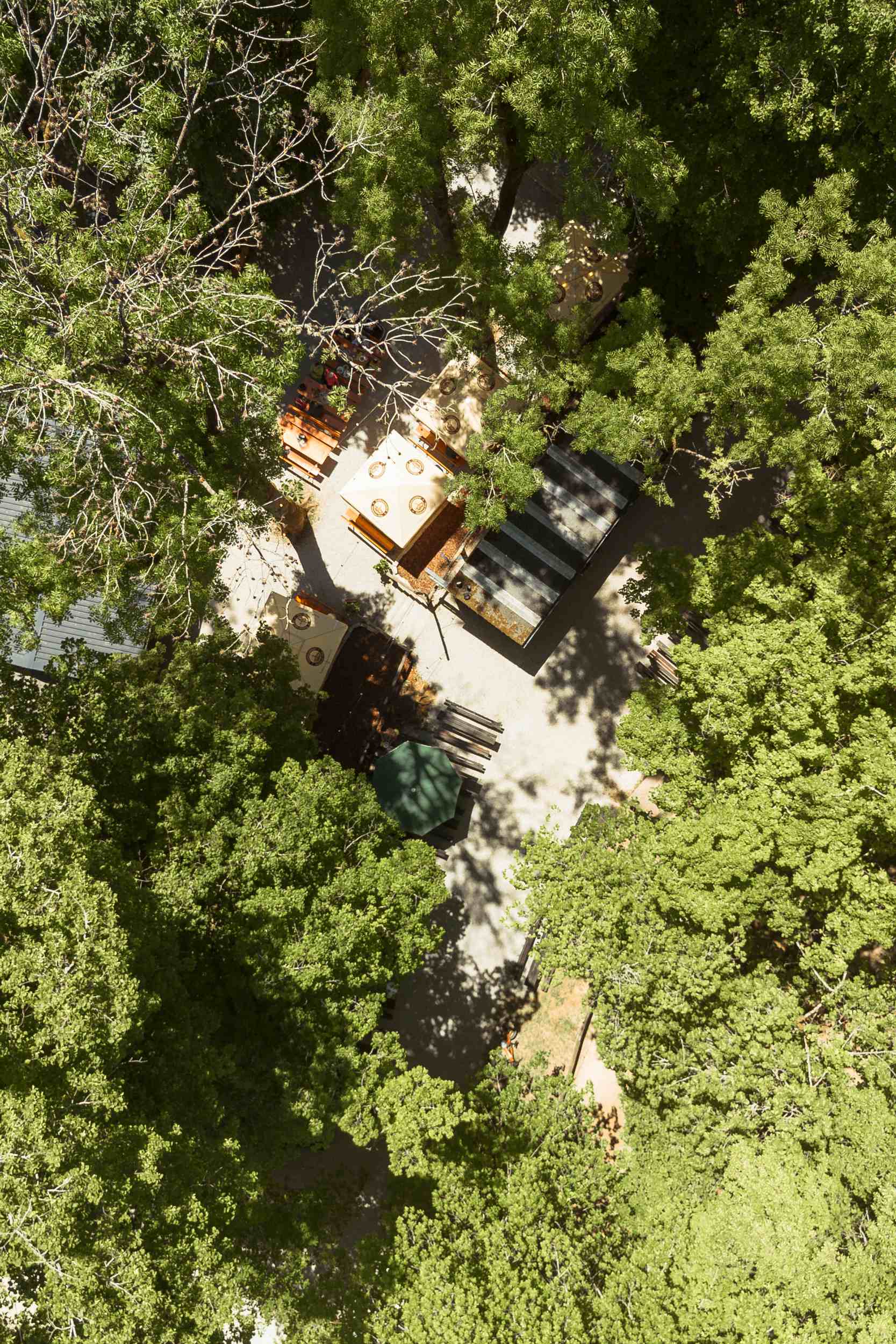 Luftaufnahme: Biergarten-Tische und überdachter Bereich zwischen den Baumkronen am Schlossberg